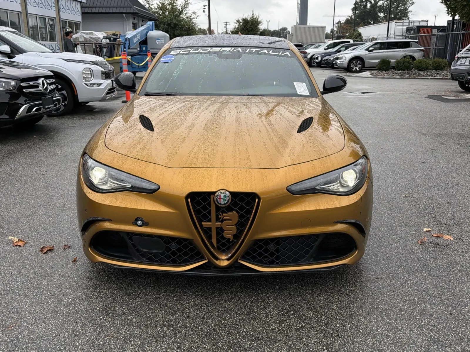 Alfa Romeo Giulia | QUADRIFOGLIO | ���� �� �������� & ���������� | Mobile.bg � ����������� 2