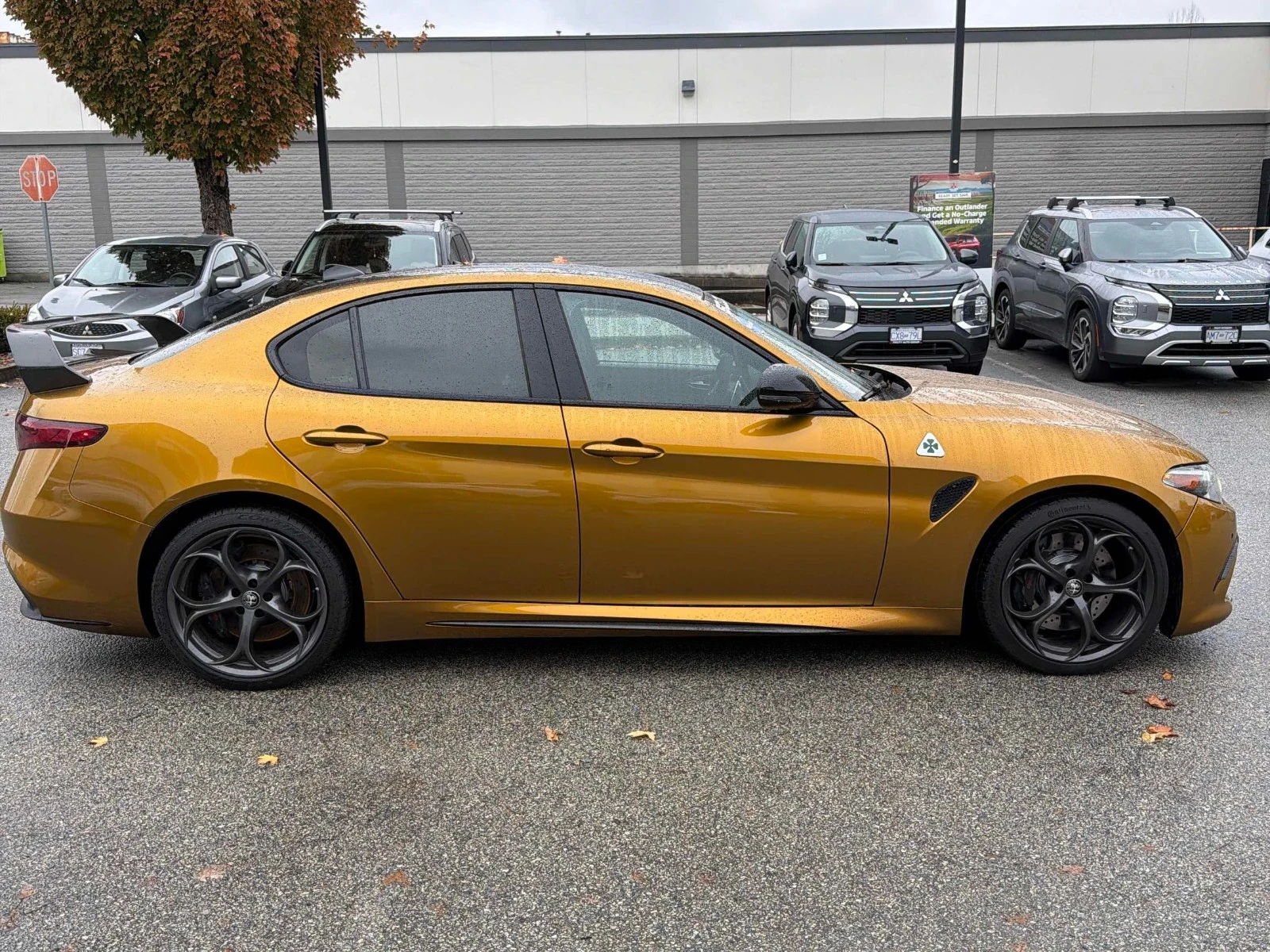 Alfa Romeo Giulia | QUADRIFOGLIO | ���� �� �������� & ���������� | Mobile.bg � ����������� 4