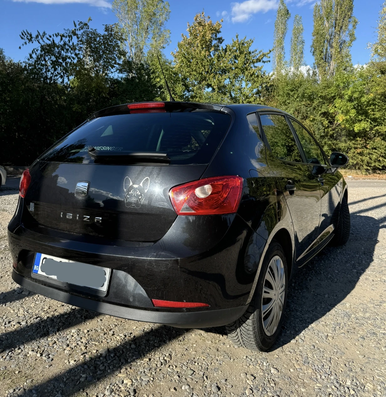 Seat Ibiza, снимка 4 - Автомобили и джипове - 56431011