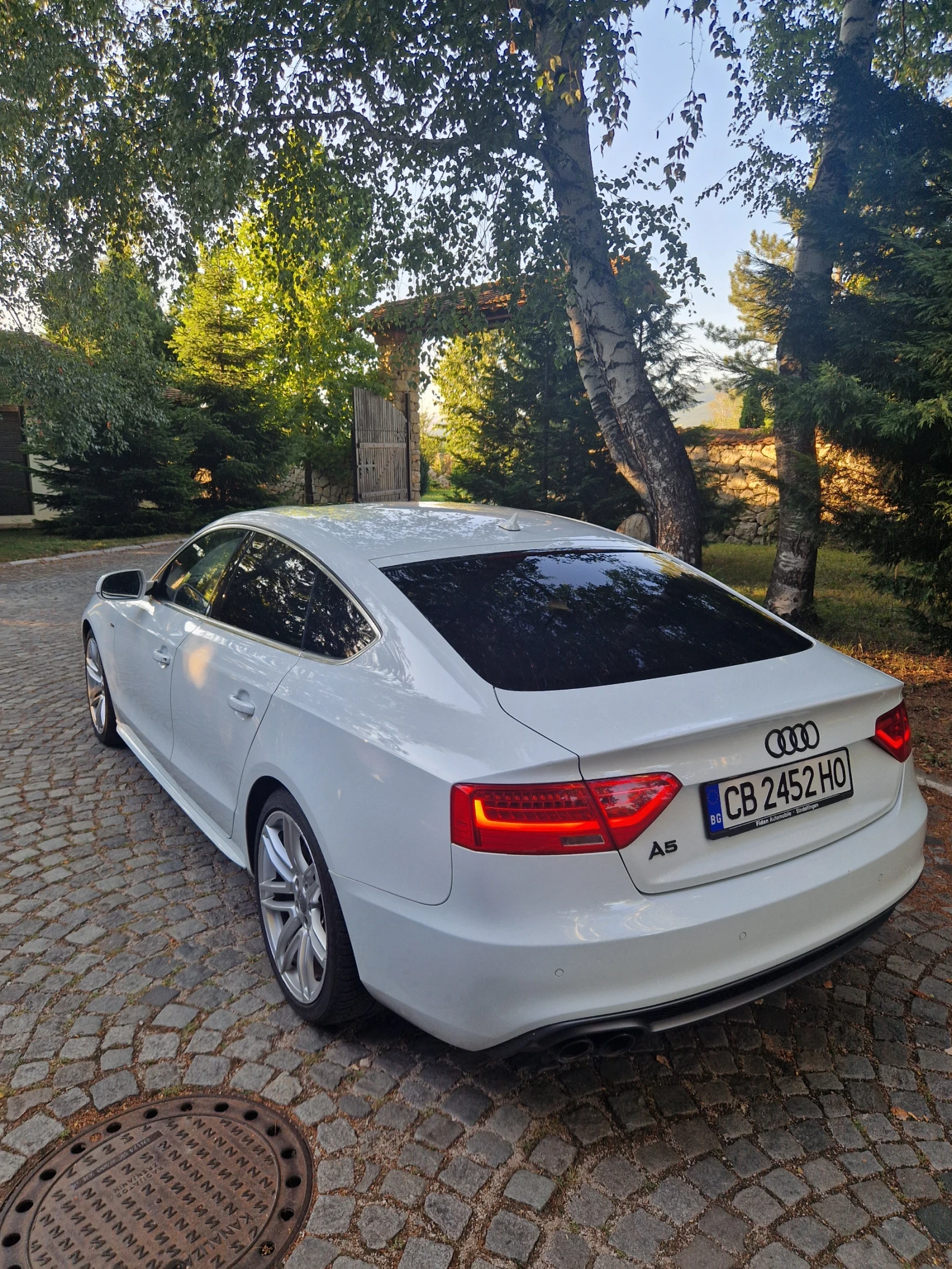 Audi A5, снимка 5 - Автомобили и джипове - 56463158