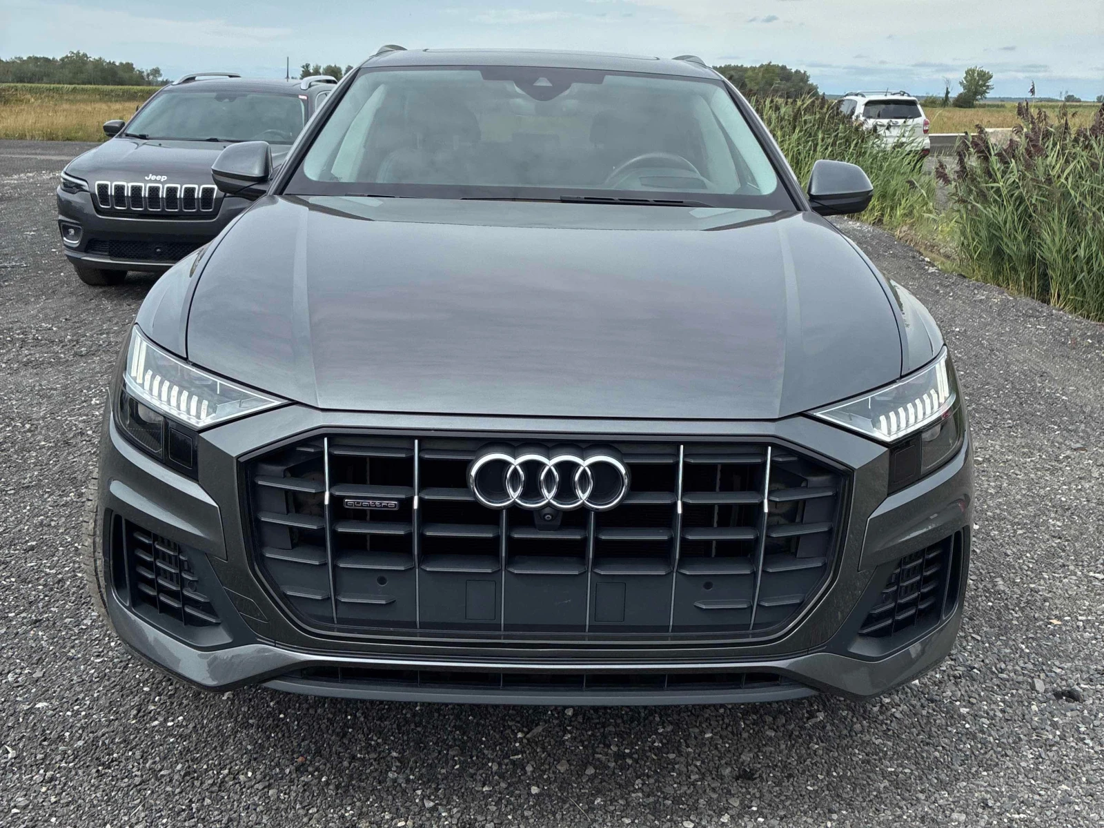 Audi Q8  Technik 55 TFSI quattro / CARFAX / MATRIX