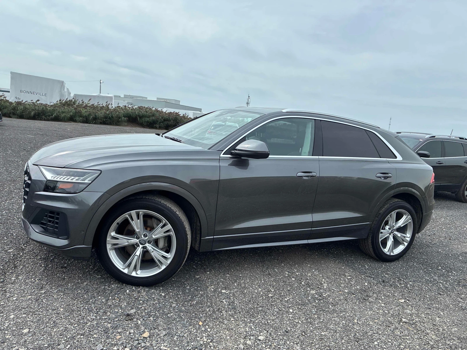 Audi Q8  Technik 55 TFSI quattro / CARFAX / MATRIX, снимка 3 - Автомобили и джипове - 55939577