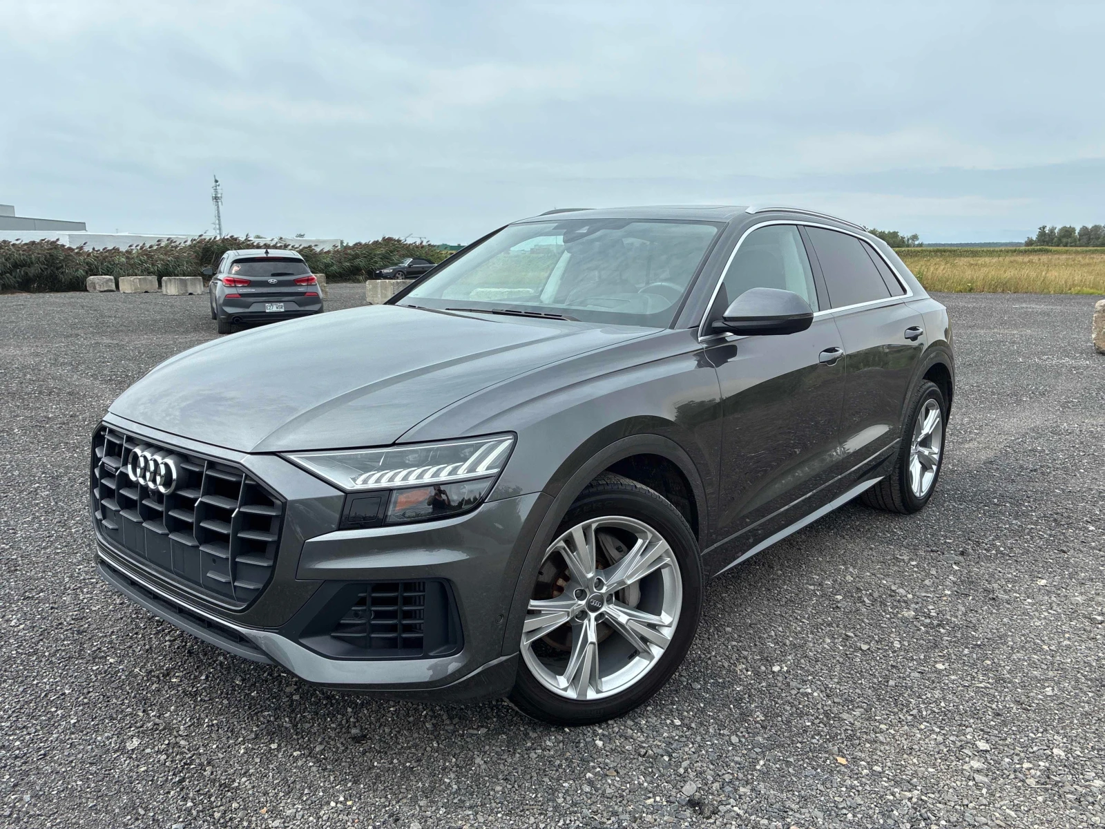 Audi Q8  Technik 55 TFSI quattro / CARFAX / MATRIX, снимка 2 - Автомобили и джипове - 55939577