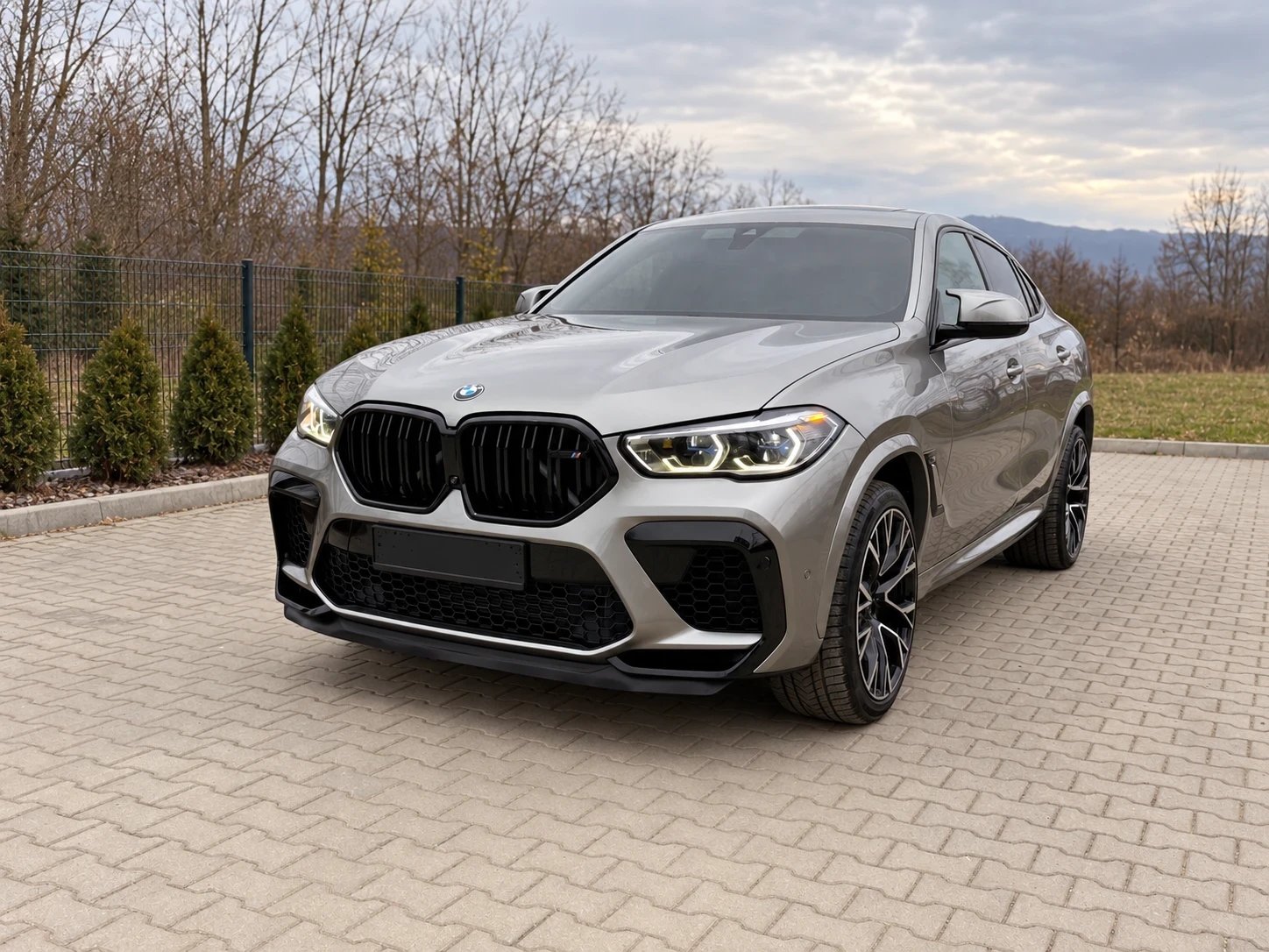 BMW X6 X6 M