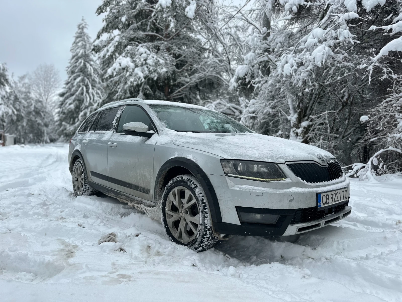 Skoda Octavia Scout - изображение 3