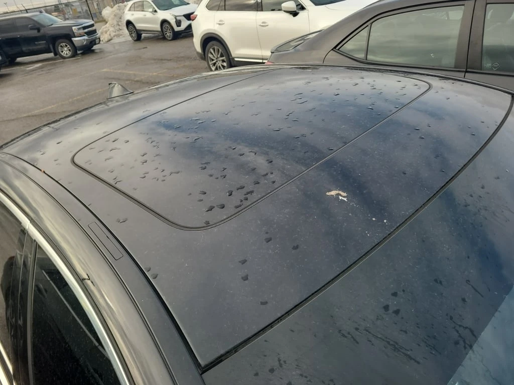 BMW 535 * 535I XDRIVE * CARFAX *  | Mobile.bg � ����������� 16