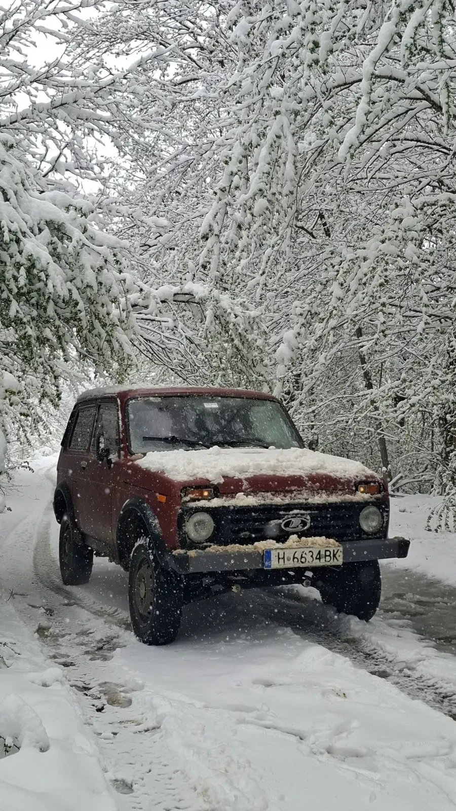 Lada Niva  - изображение 8