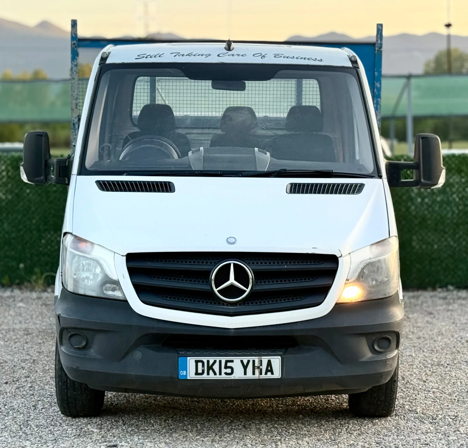 Mercedes-Benz 313 CDI - изображение 2