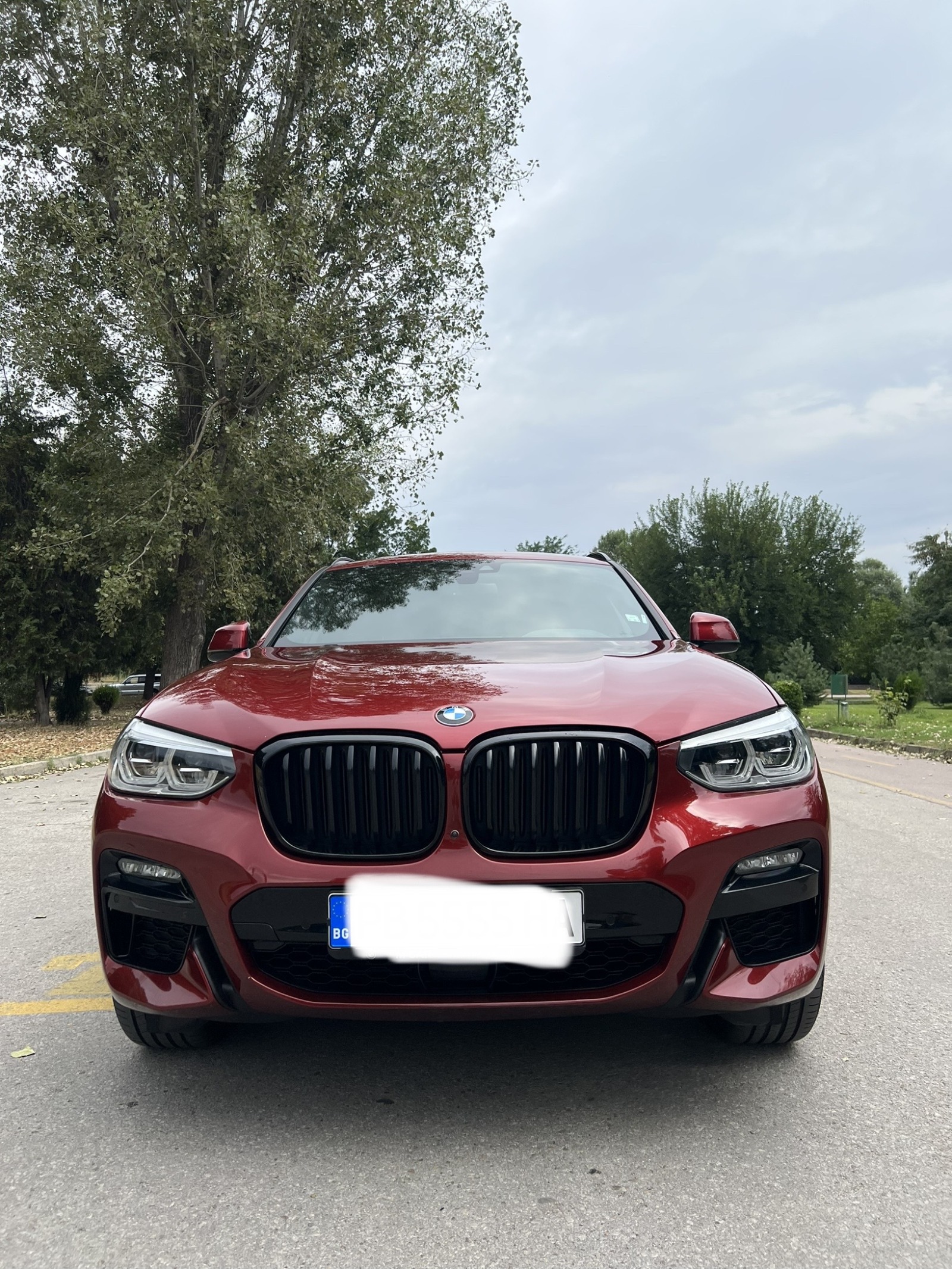 BMW X4 m40d - изображение 1