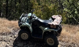 Suzuki KingQuad Vinson 4х4, снимка 2