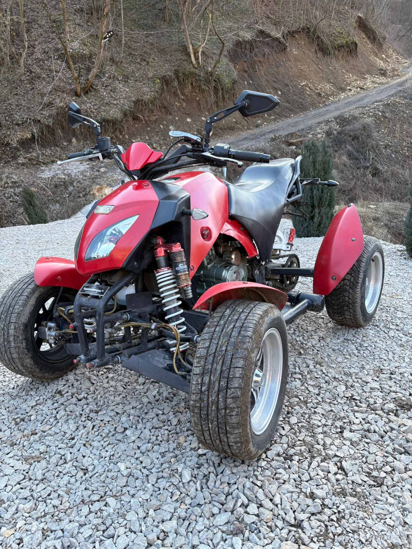 Bashan BS Bahsan - изображение 2