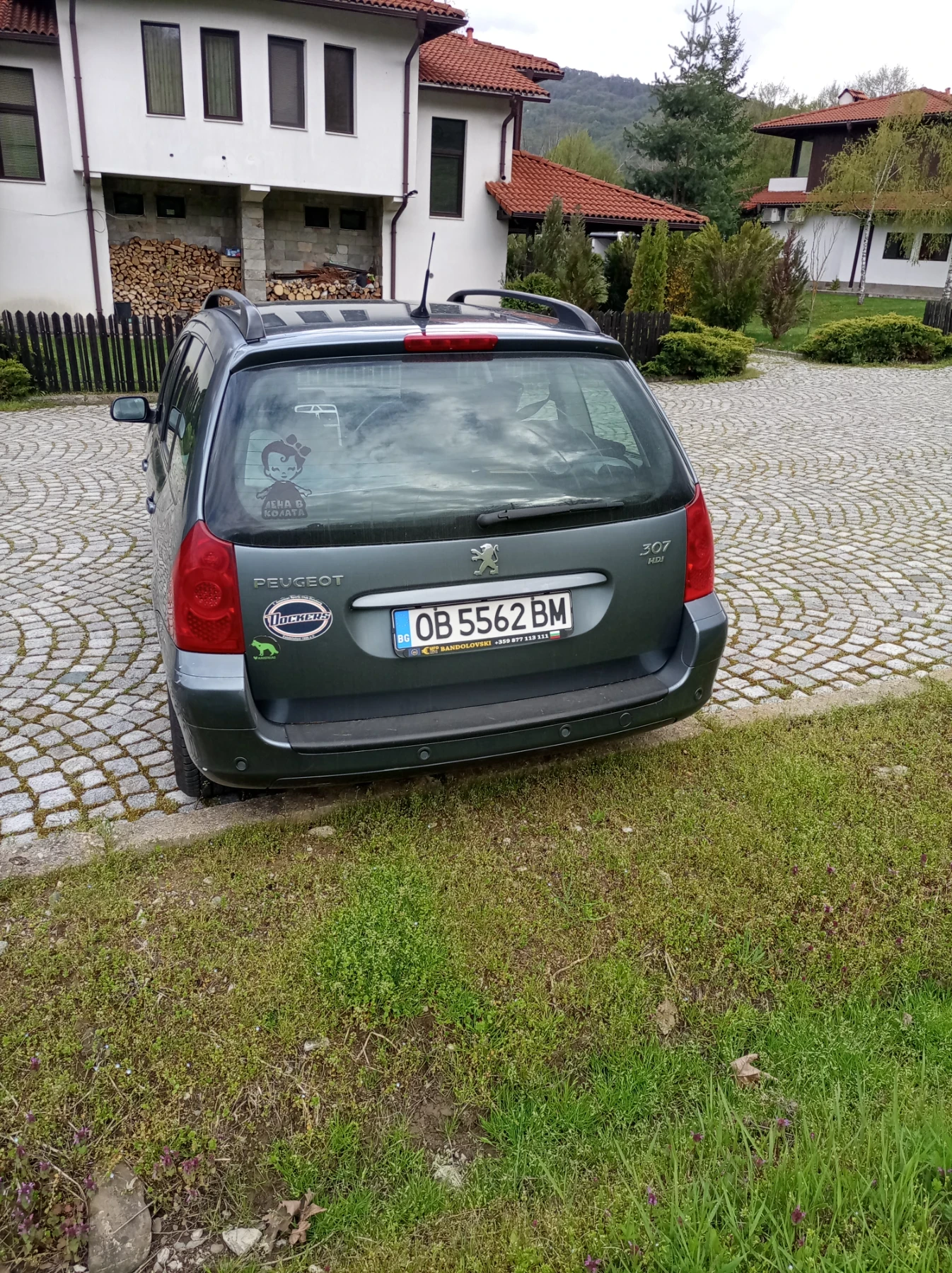 Peugeot 307, снимка 4 - Автомобили и джипове - 54319208