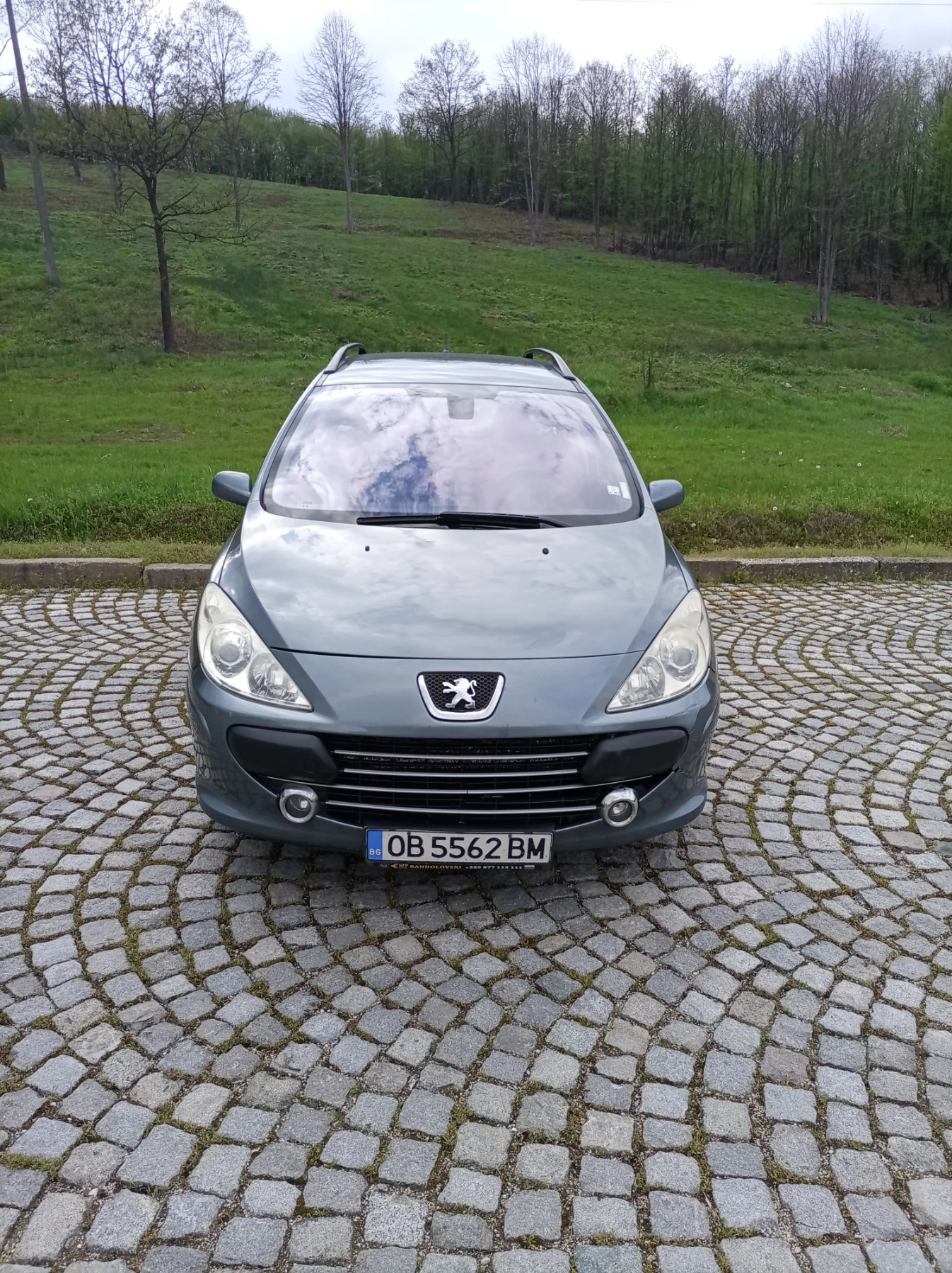 Peugeot 307