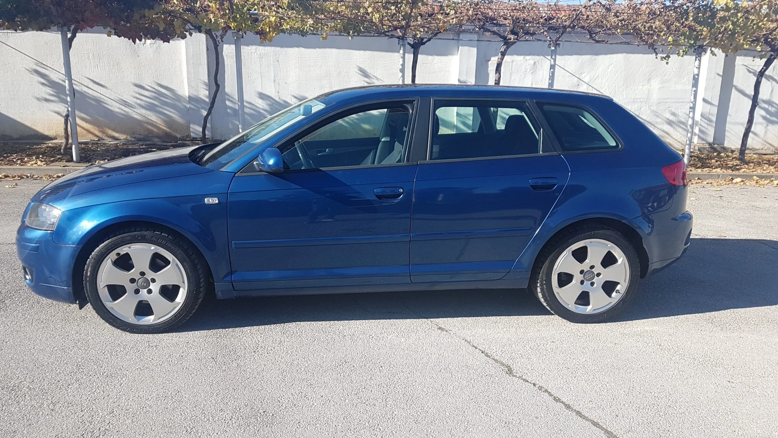 Audi A3 1.9 TDI 105кс - изображение 7