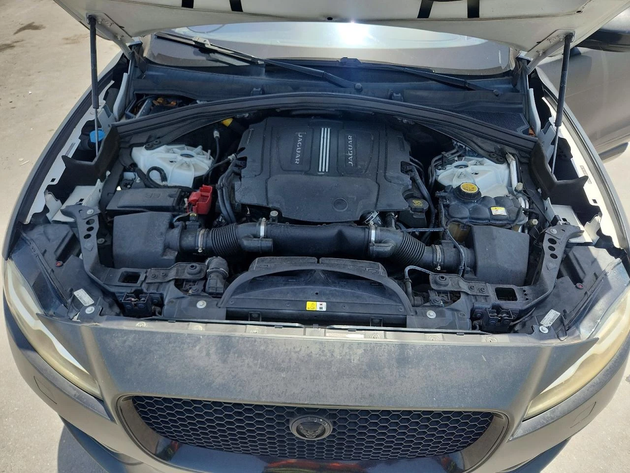 Jaguar F-Type R - SPORT | Mobile.bg � ����������� 12