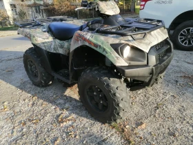  Kawasaki Brute Force