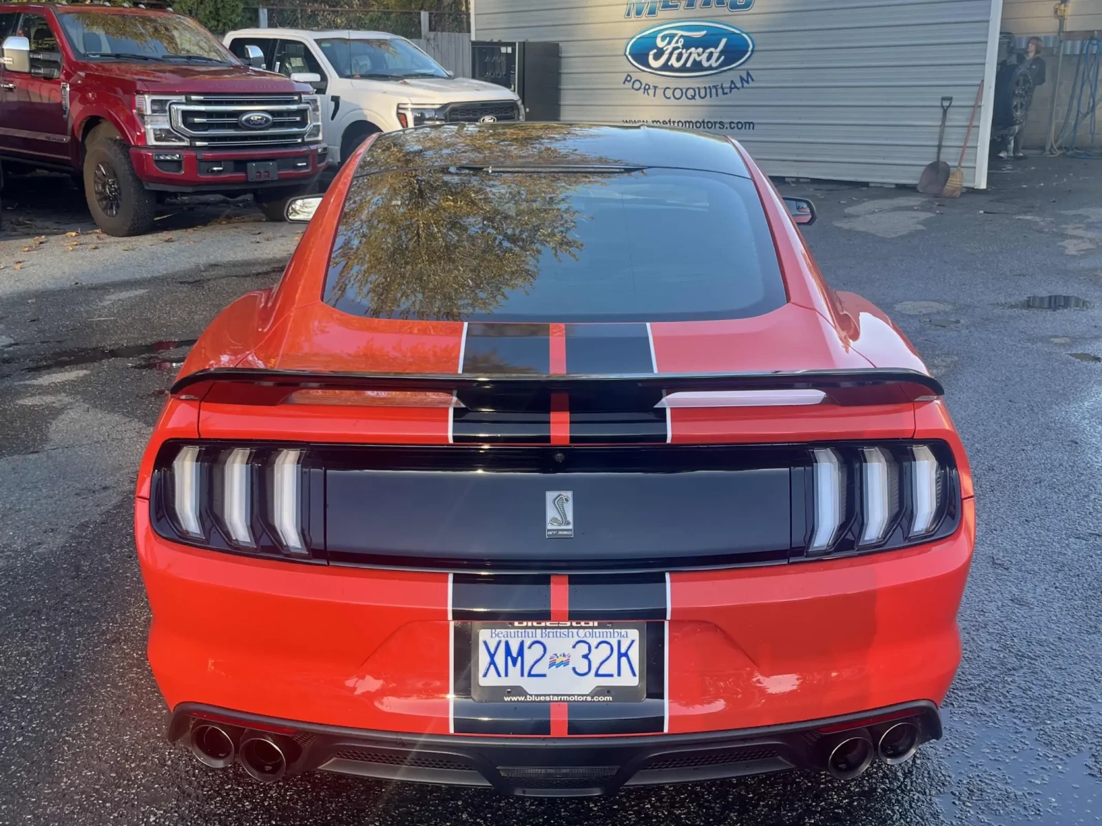 Ford Mustang * Shelby* CARFAX *    | Mobile.bg   5