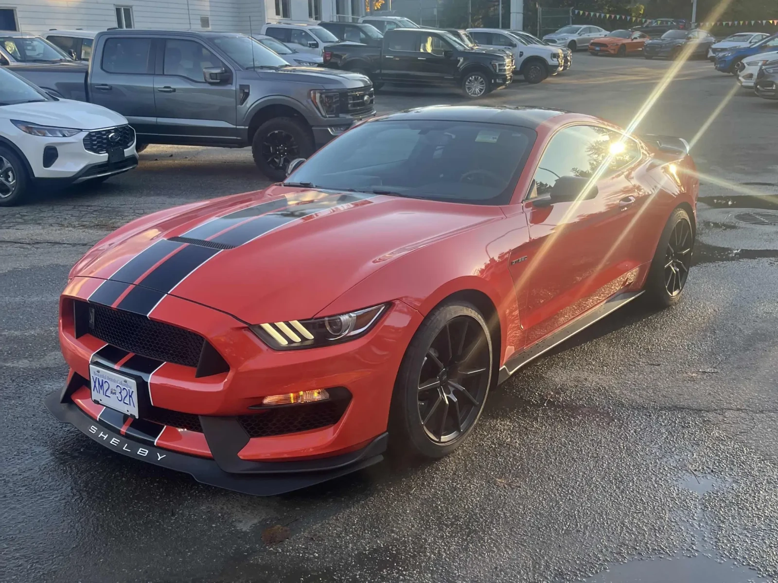 Ford Mustang * Shelby* CARFAX *    | Mobile.bg   1