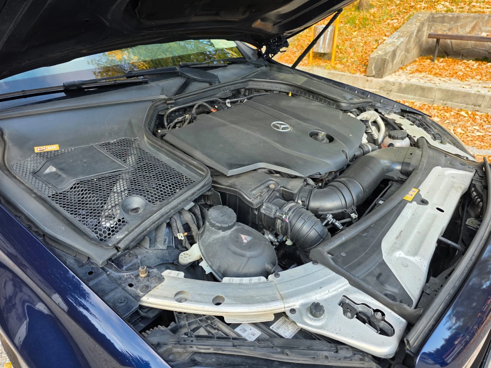 Mercedes-Benz C 220 4MATIC 170. | Mobile.bg   13