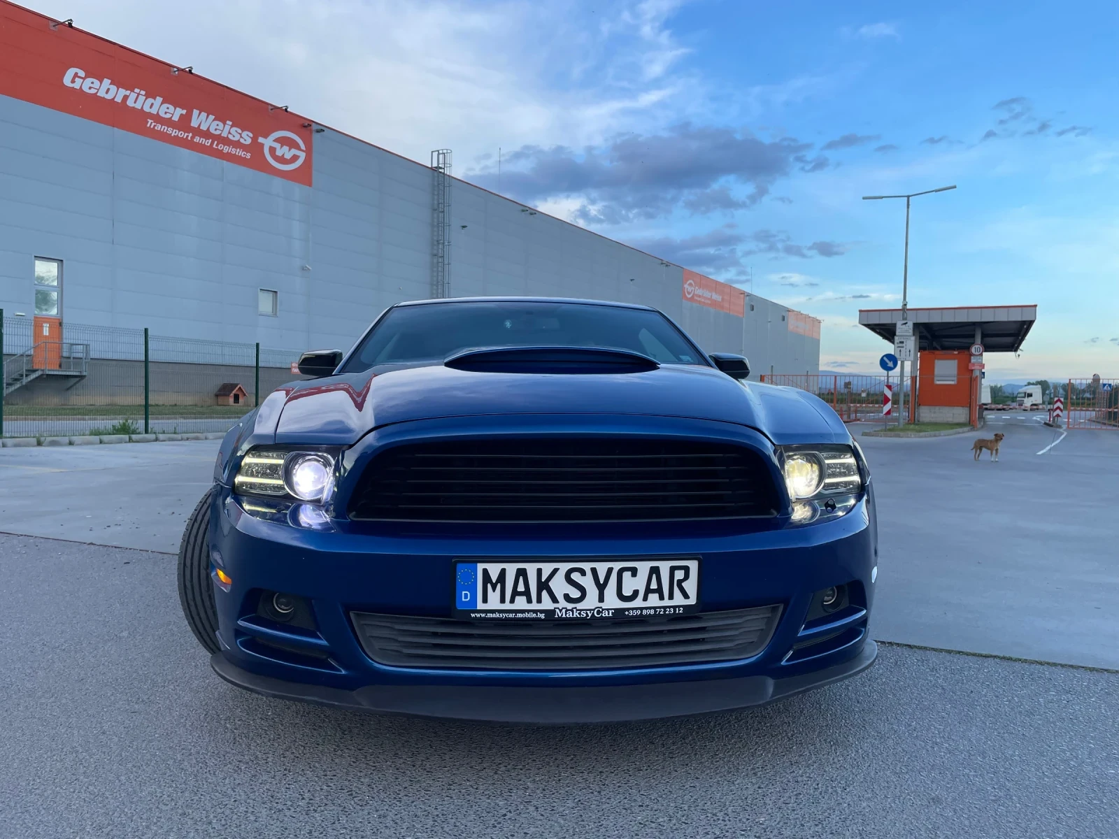 Ford Mustang 3.7 ГAЗОВ ИНЖЕКЦИОН ROUSH ПАКЕТ - изображение 2
