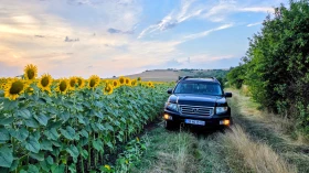 Honda Ridgeline RTL ГАЗ БЕЗ РЪЖДА, снимка 16