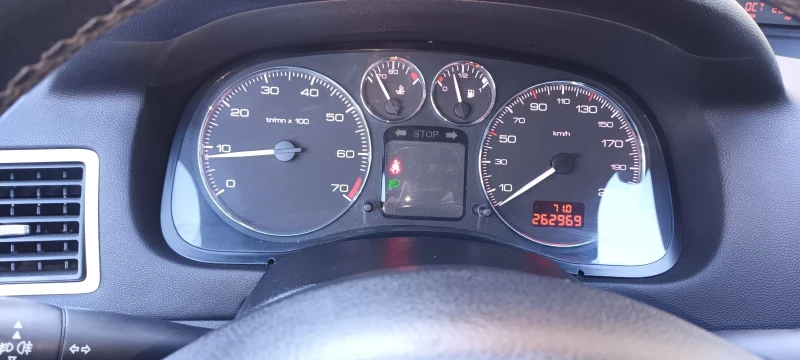 Peugeot 307 1.6 газ-бензин, снимка 10 - Автомобили и джипове - 49435879