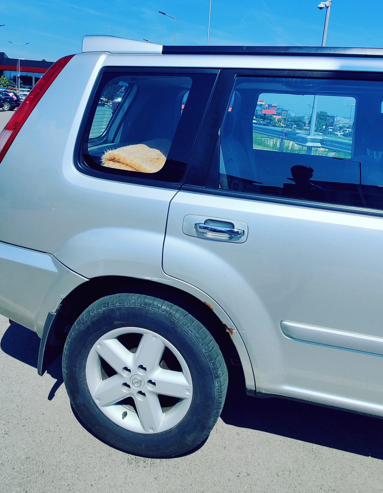 Nissan X-trail, снимка 12 - Автомобили и джипове - 54450645