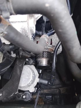 Skoda Octavia - 8199 € / 16035.85 лв. - 33686369 11