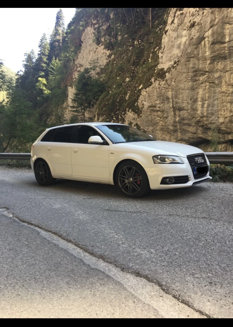 Audi A3 S-line, 2.0 TDI, 170 hp, quattro, снимка 2 - Автомобили и джипове - 47325445