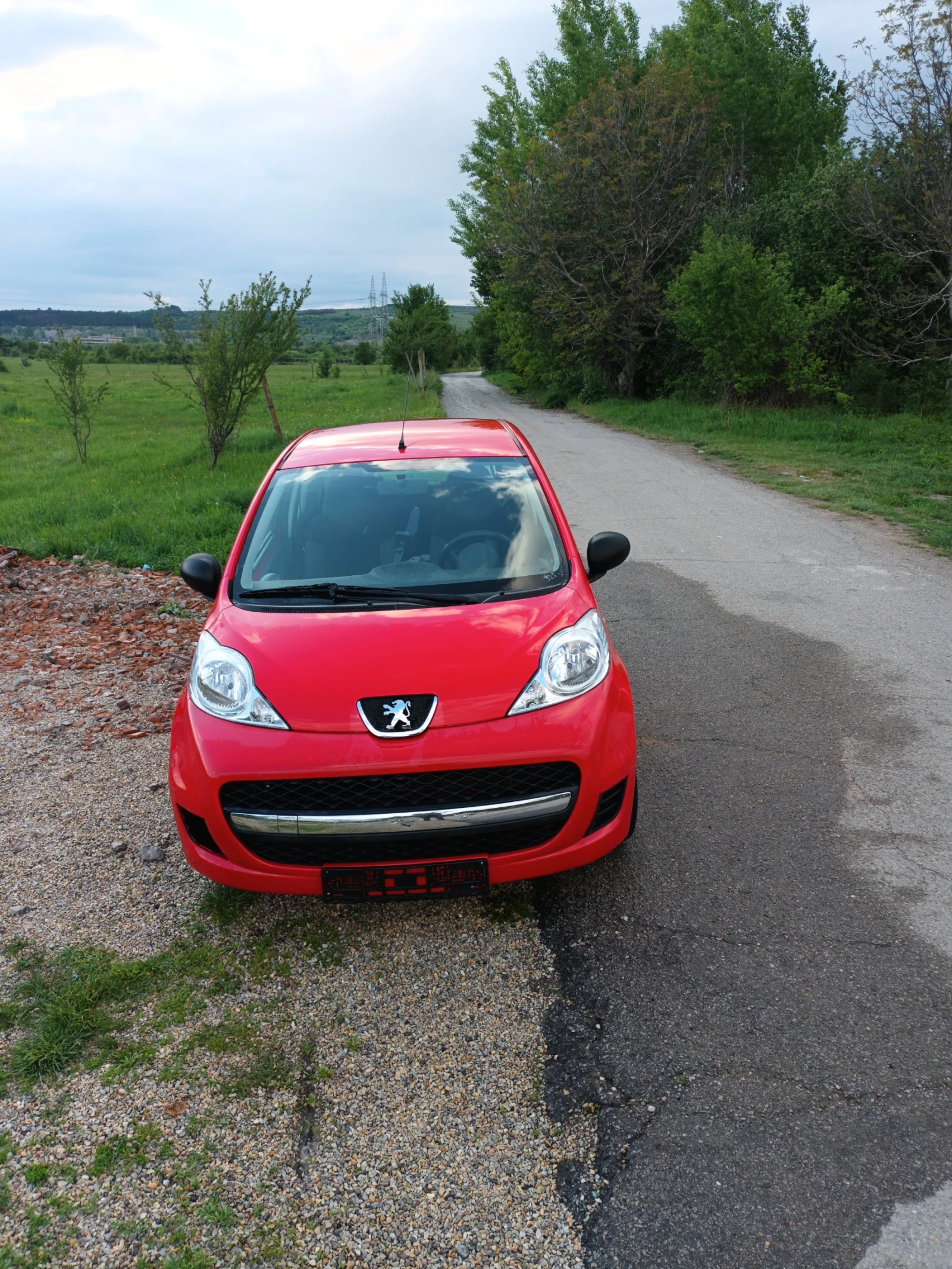 Peugeot 1007, снимка 1