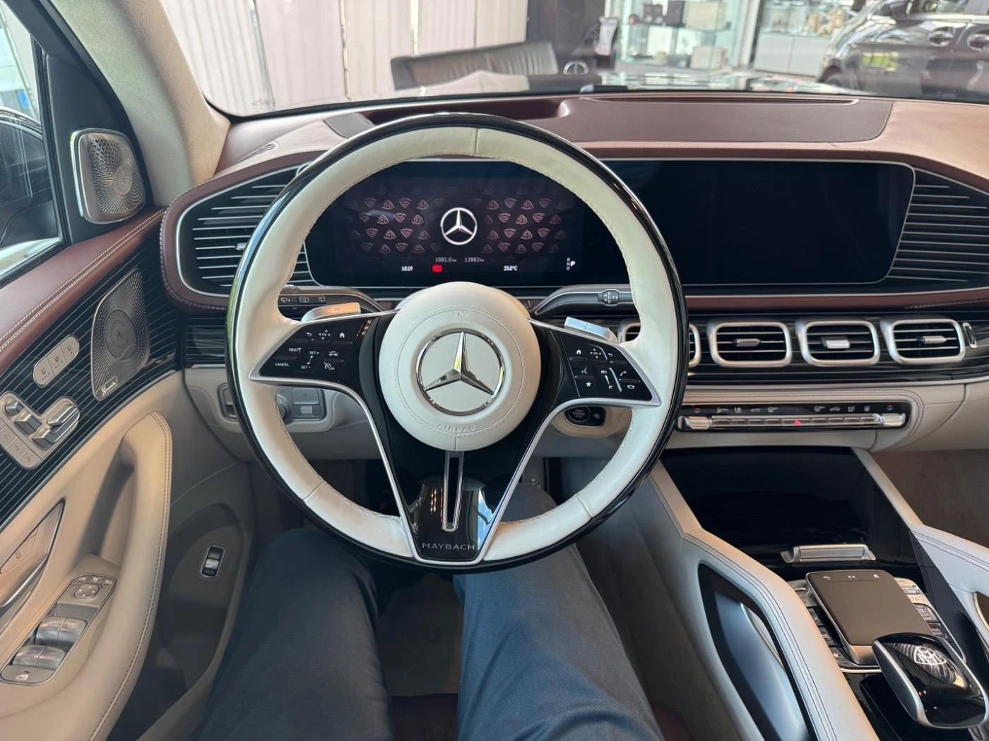 Mercedes-Benz GLS 600 MAYBACH/FACELIFT/FIRST CLASS/DESIGNO/E-ACTIVE BODY - изображение 9