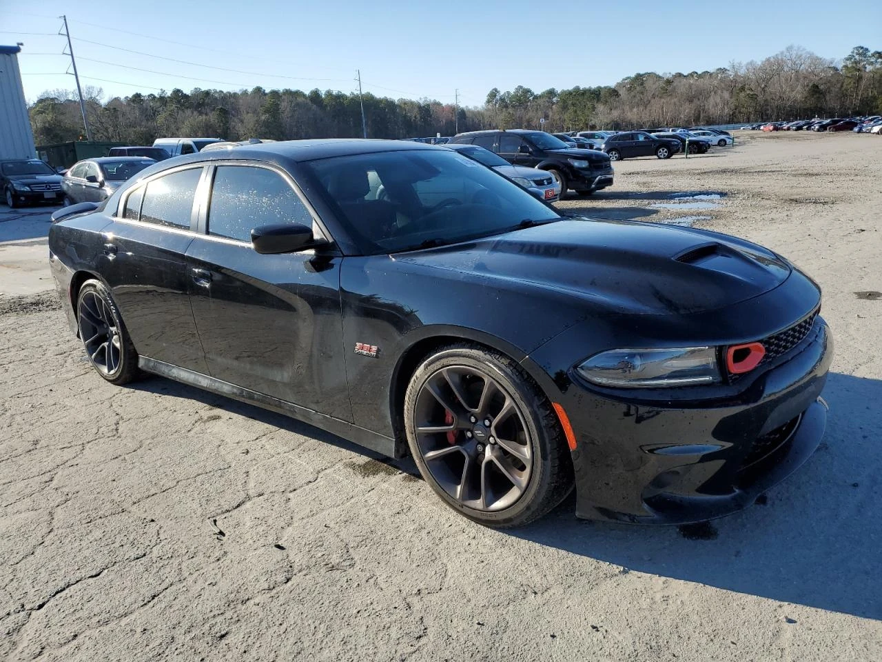 Dodge Charger 6.4 HEMI/Scat Pack - изображение 3