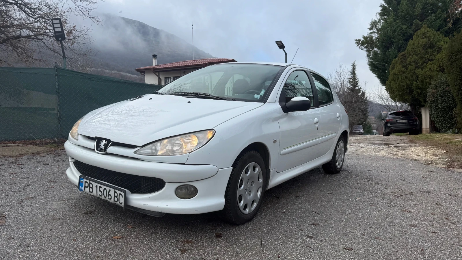 Peugeot 206 XBOX, снимка 1