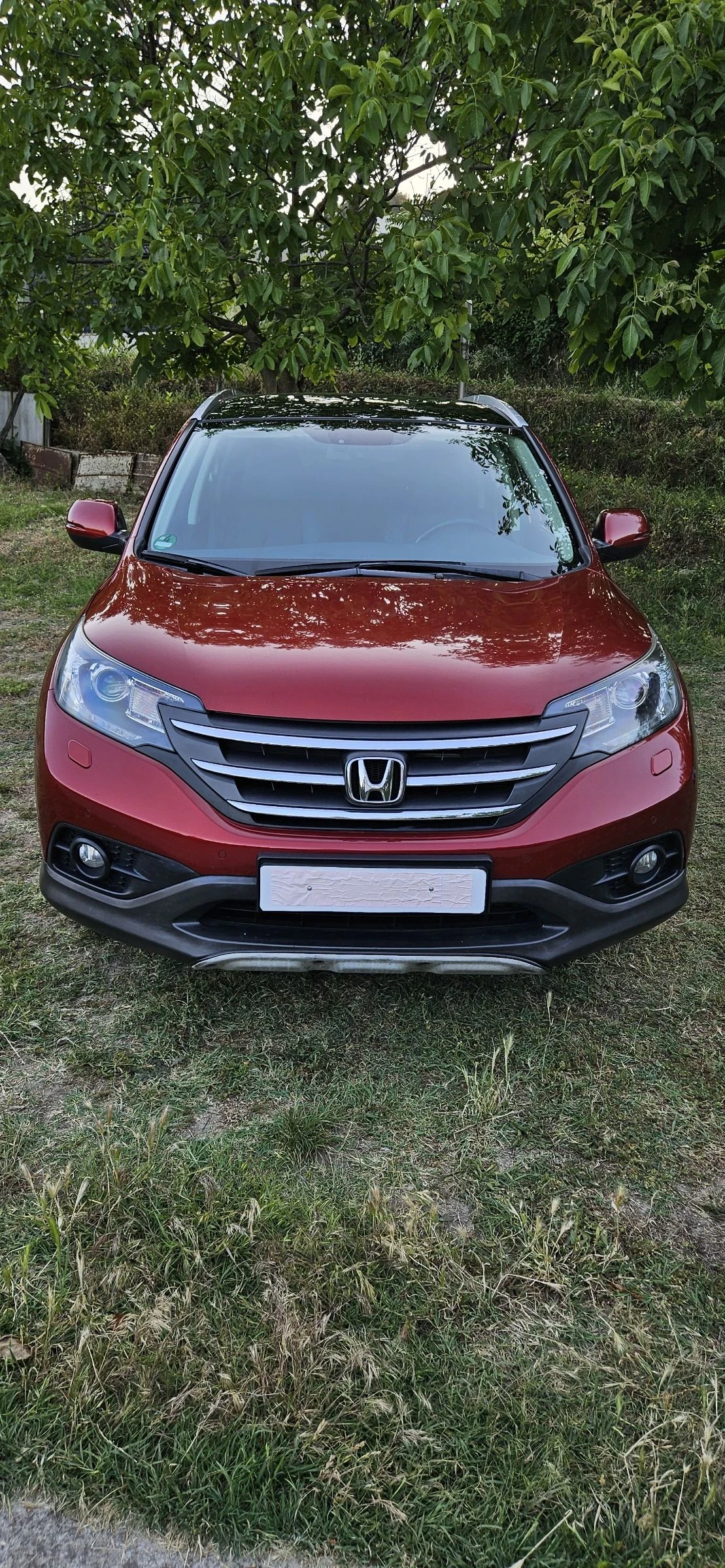 Honda Cr-v 2.0 i-vtec  Executive 4х4 Full Extri Top - изображение 3