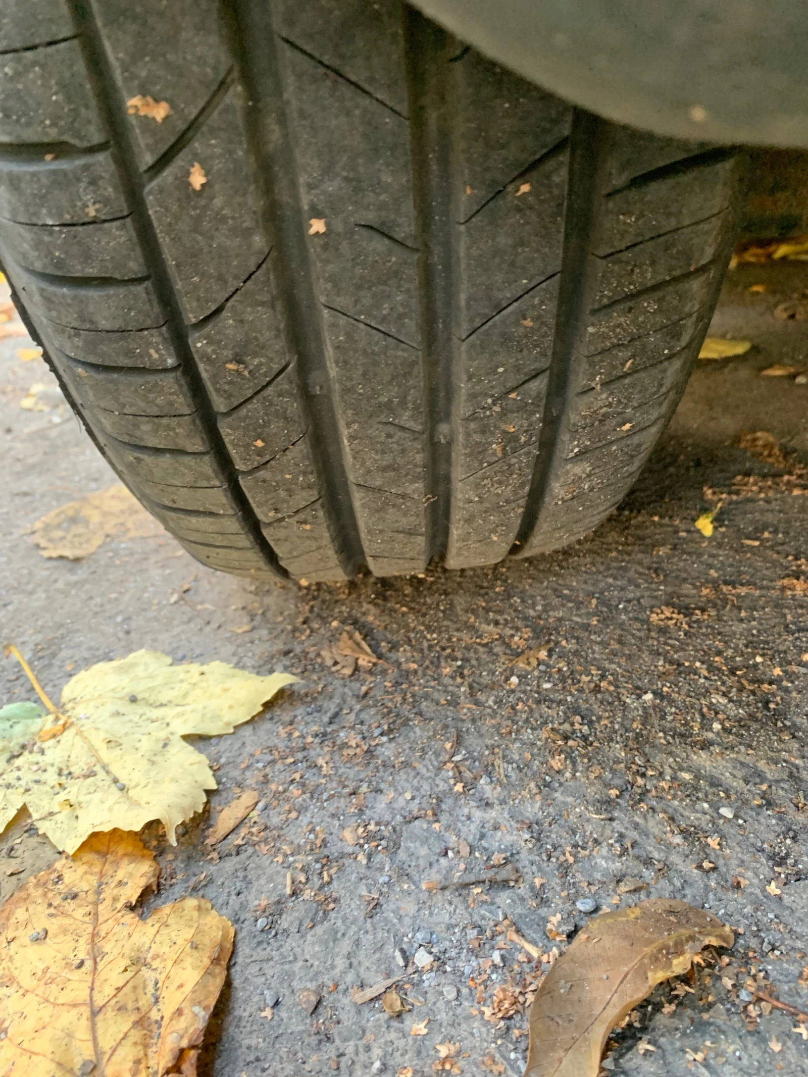 Skoda Octavia 1.9 TDI | Mobile.bg   17