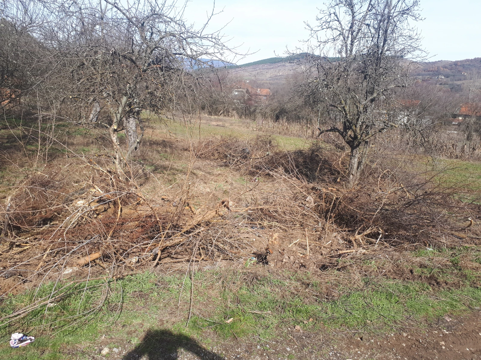 ������ � ���� ����� � ��������  | Mobile.bg � ����������� 10