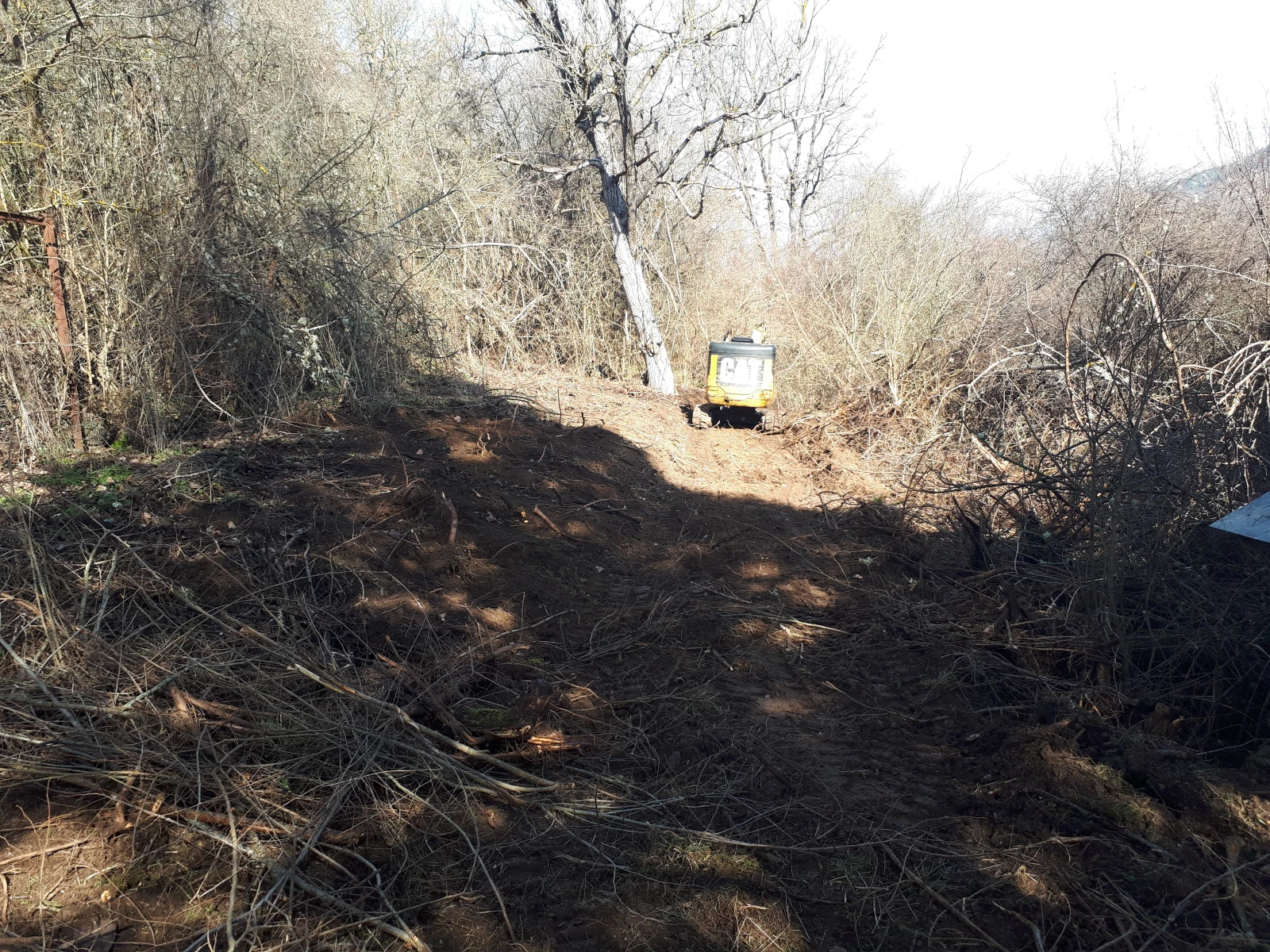 ������ � ���� ����� � ��������  | Mobile.bg � ����������� 12