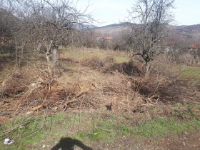 услуги с мини багер и самосвал кюстендил, снимка 10 - Товарни превози - 52564430