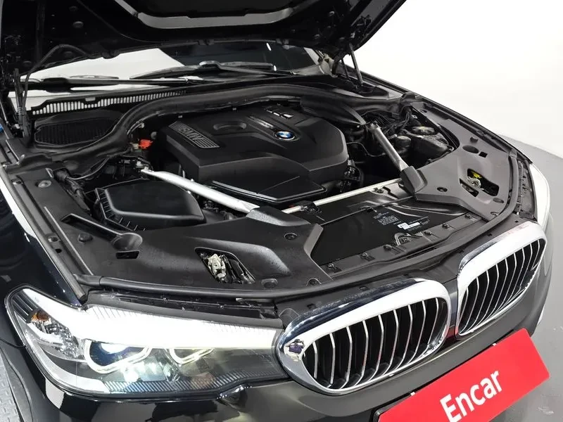 BMW 520 Luxury, снимка 6 - Автомобили и джипове - 56070759