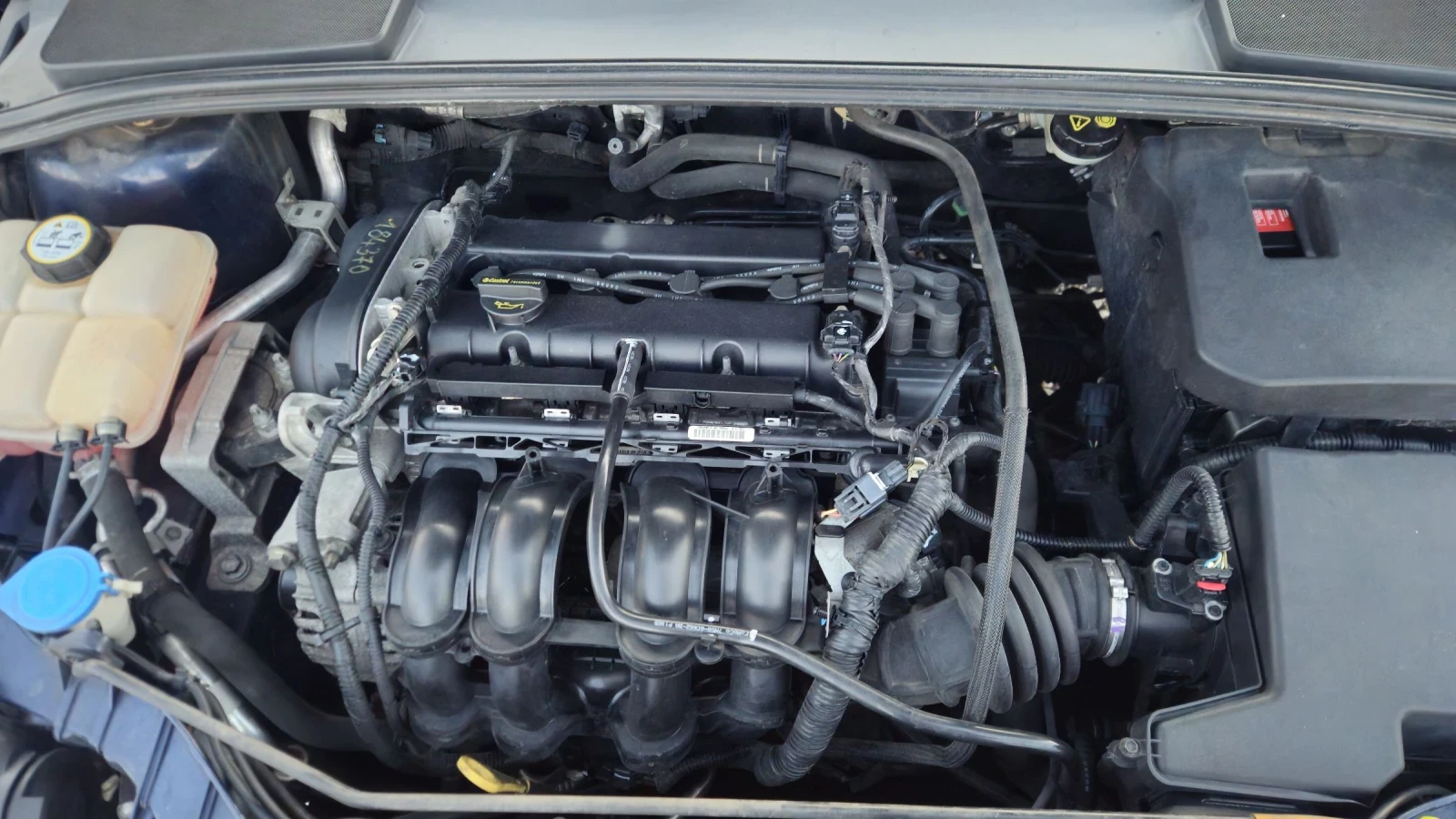 Ford Focus Ford Focus 1.6 .. | Mobile.bg   13