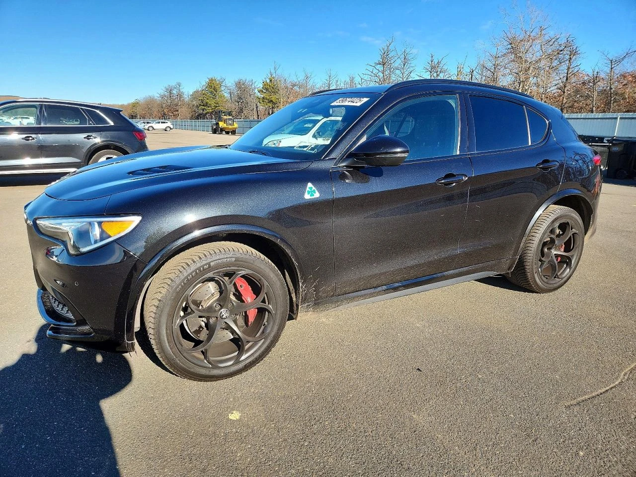 Alfa Romeo Stelvio QUADRIFOGLIO 2.9L V6 505�� | Mobile.bg � ����������� 1