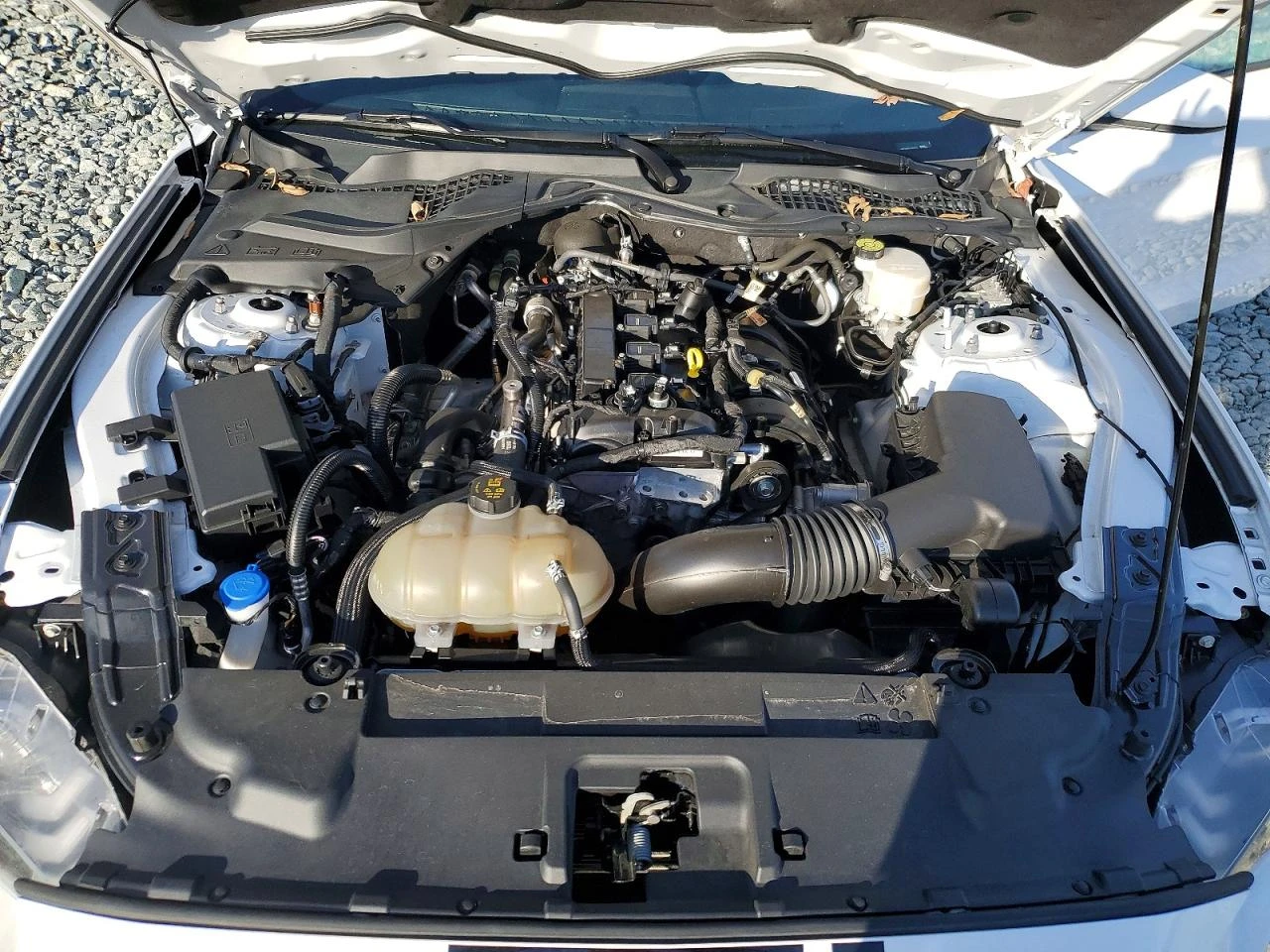 Ford Mustang 2.3l, снимка 11 - Автомобили и джипове - 54882997