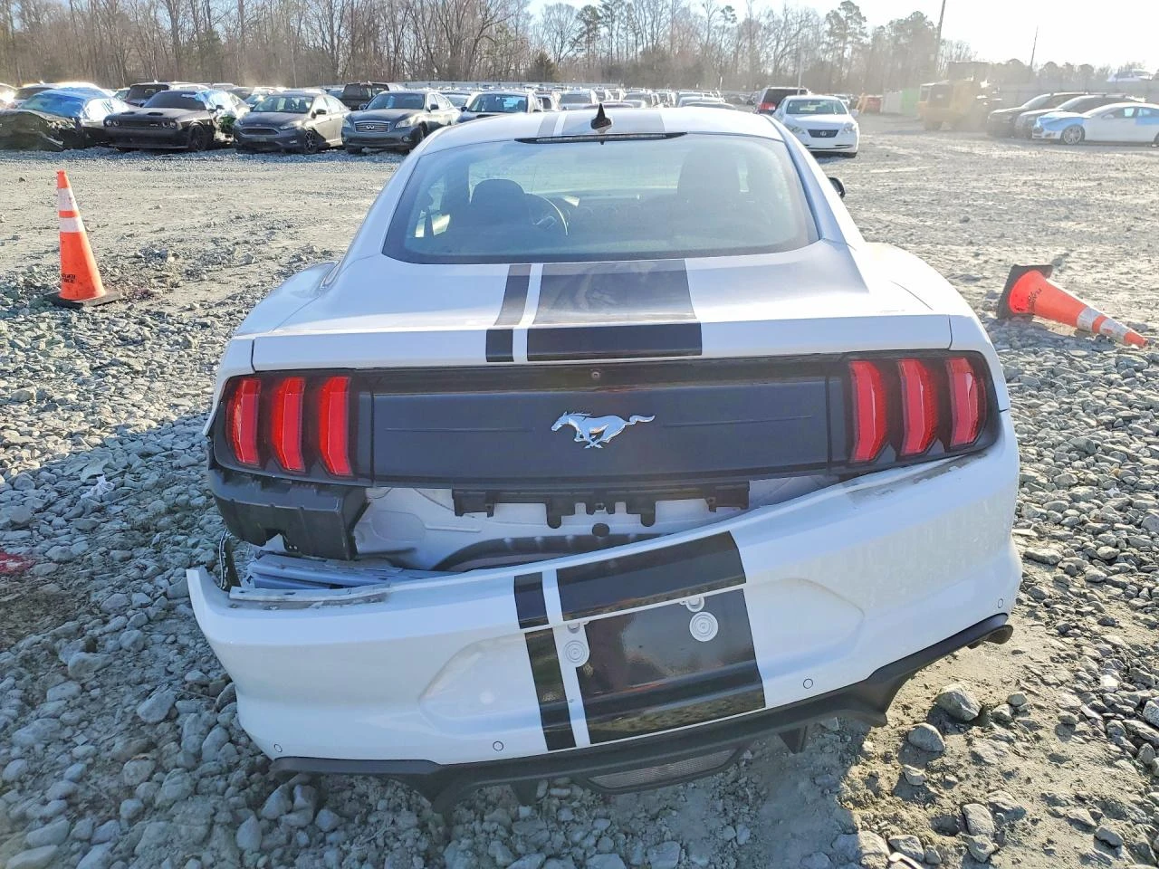 Ford Mustang 2.3l, снимка 6 - Автомобили и джипове - 54882997