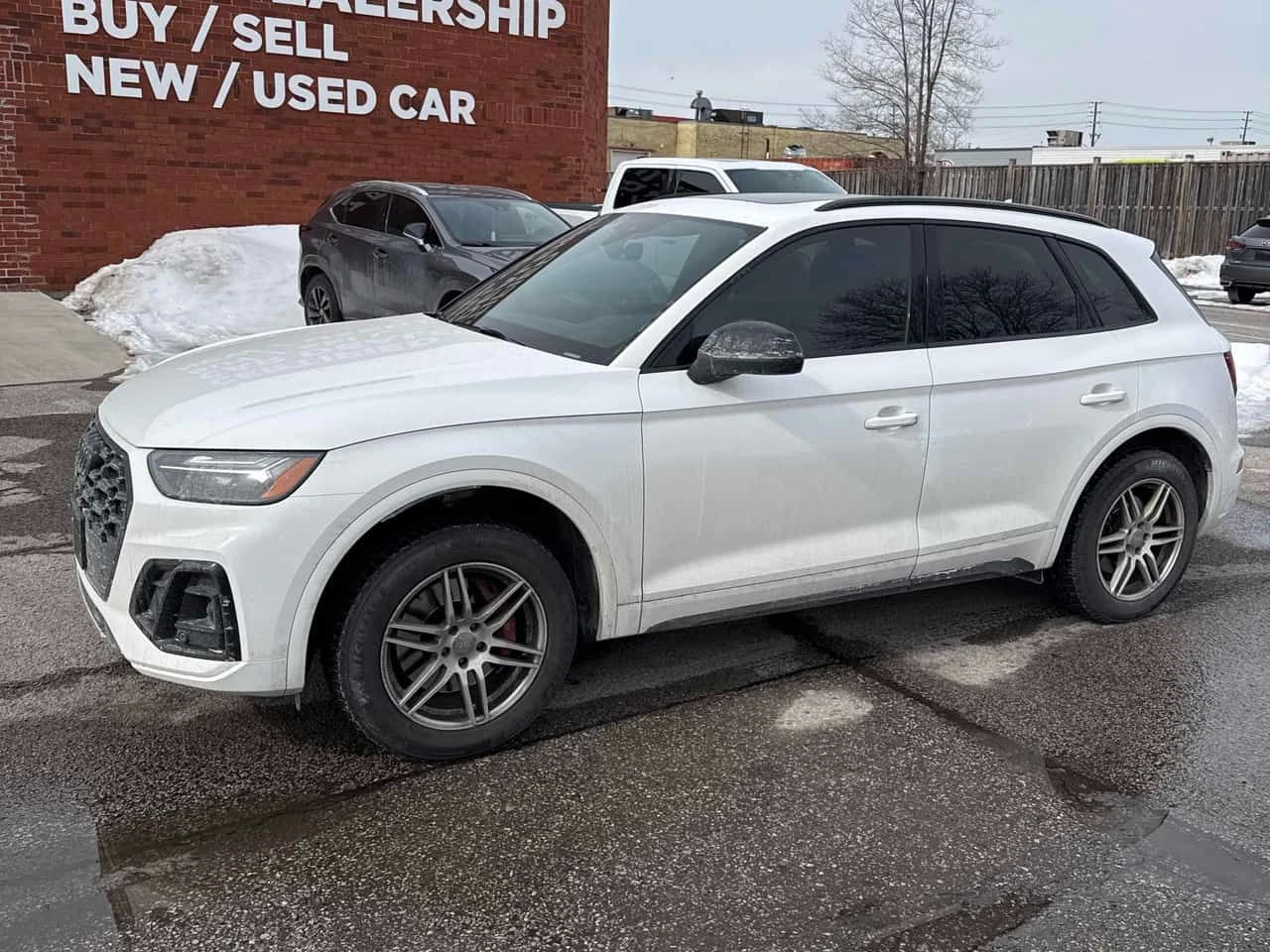 Audi SQ5 * Progressiv * DISTRONIC* BOSE* + ГУМИ С ДЖАНТИ*  - изображение 2