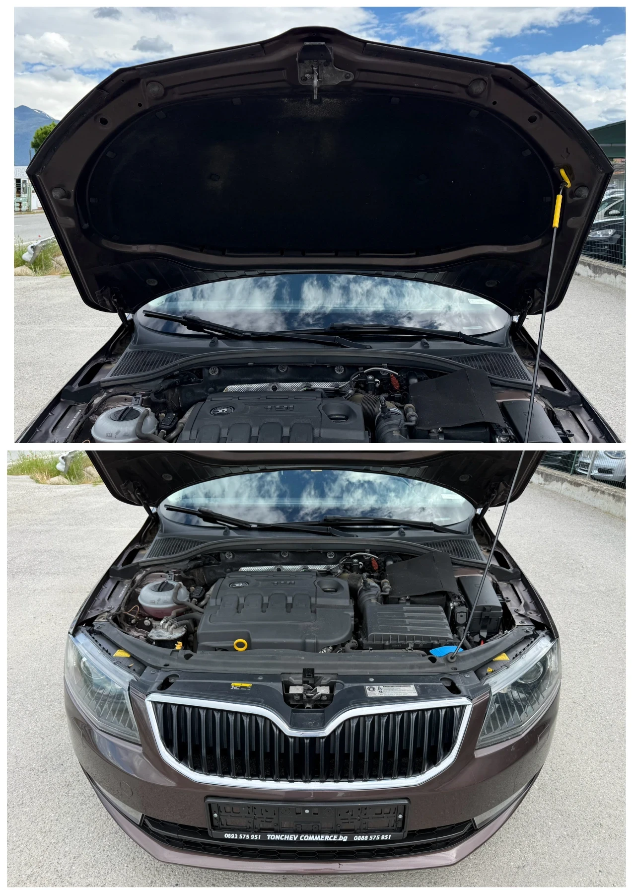 Skoda Octavia 2.0-TDI-AUTOMAT-163.000km-����� ������ � ����� | Mobile.bg � ����������� 17