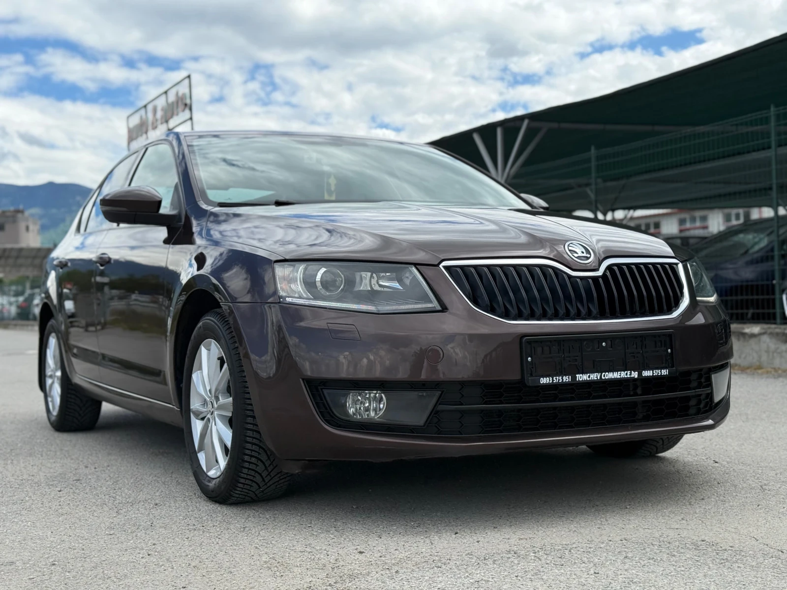Skoda Octavia 2.0-TDI-AUTOMAT-163.000km-����� ������ � ����� | Mobile.bg � ����������� 1