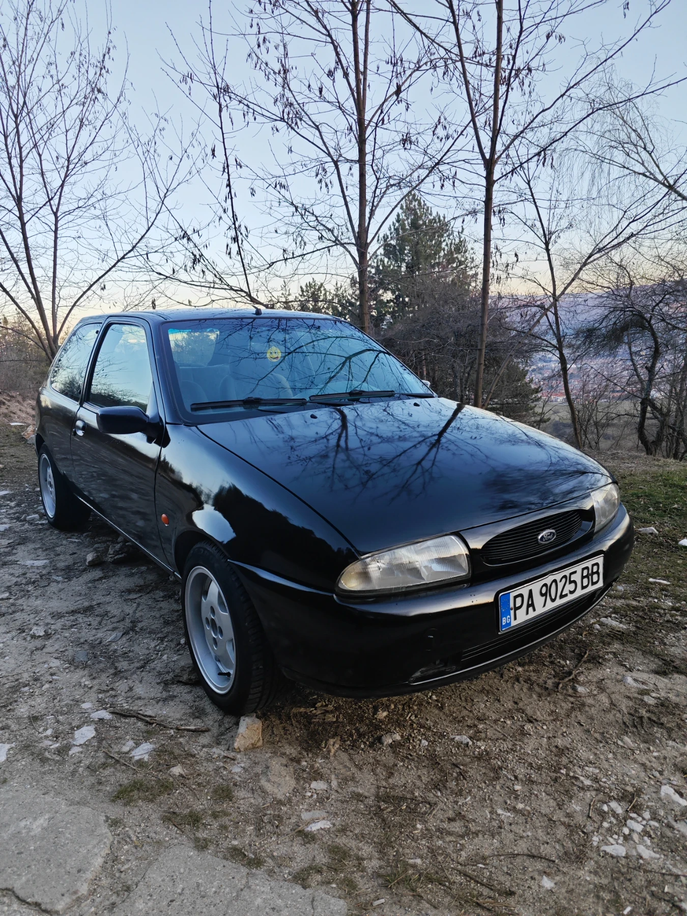Ford Fiesta 1.25 16v, снимка 3 - Автомобили и джипове - 53713748