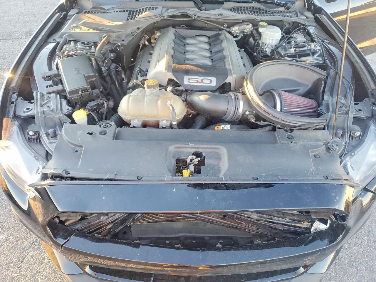 Ford Mustang * GT* 5.0* V8* КОЖА* , снимка 11 - Автомобили и джипове - 53726952