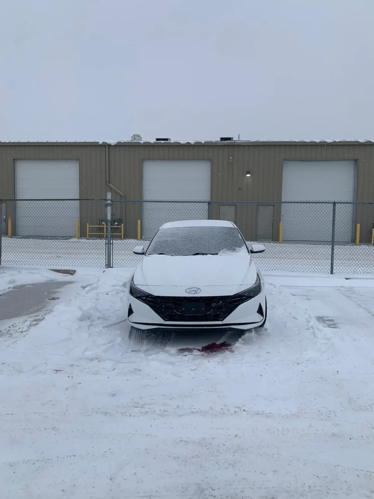 Hyundai Elantra * CARFAX * ��� ������������ ������ | Mobile.bg � ����������� 2