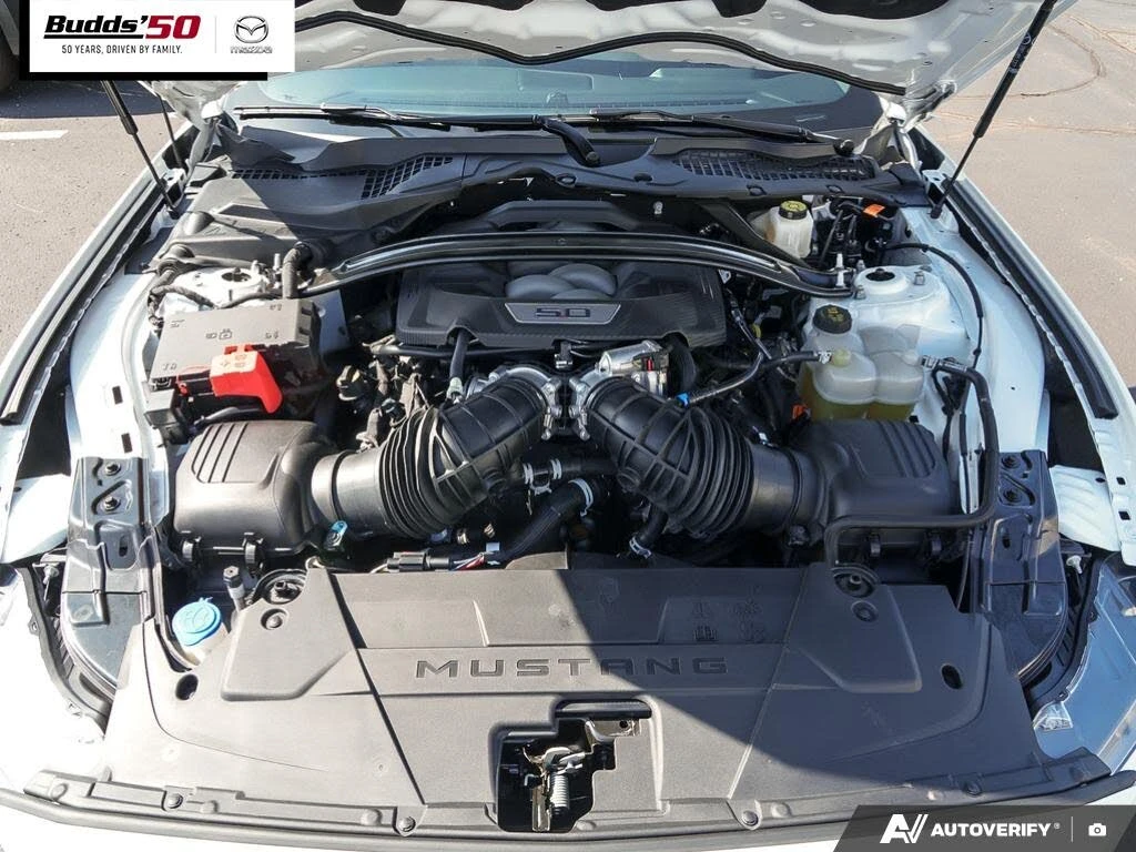 Ford Mustang GT Premium Fastback RWD, снимка 10 - Автомобили и джипове - 54569241